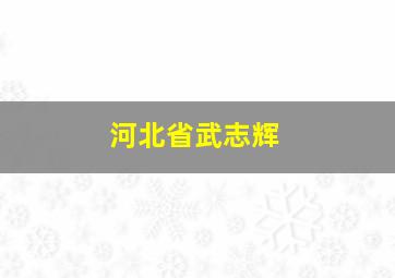 河北省武志辉