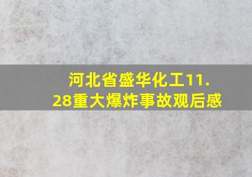 河北省盛华化工11.28重大爆炸事故观后感