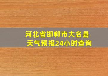 河北省邯郸市大名县天气预报24小时查询