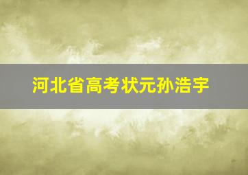 河北省高考状元孙浩宇