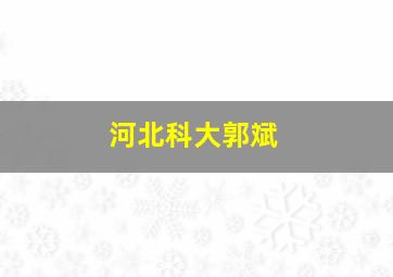 河北科大郭斌