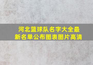 河北篮球队名字大全最新名单公布图表图片高清