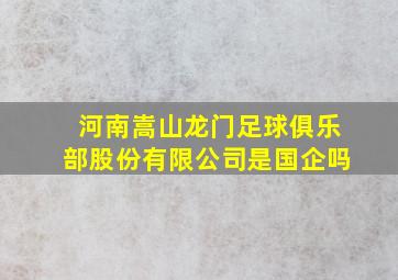 河南嵩山龙门足球俱乐部股份有限公司是国企吗