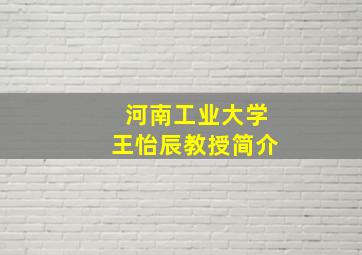 河南工业大学王怡辰教授简介