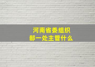 河南省委组织部一处主管什么