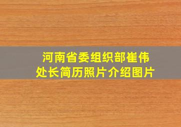 河南省委组织部崔伟处长简历照片介绍图片