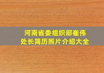 河南省委组织部崔伟处长简历照片介绍大全