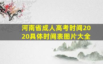 河南省成人高考时间2020具体时间表图片大全