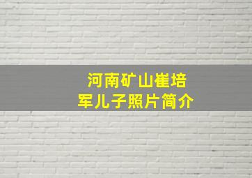 河南矿山崔培军儿子照片简介