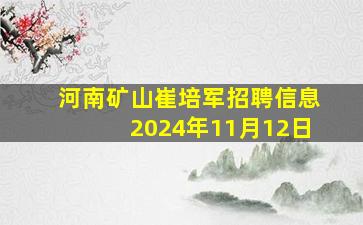 河南矿山崔培军招聘信息2024年11月12日