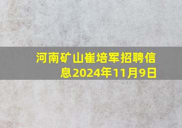 河南矿山崔培军招聘信息2024年11月9日