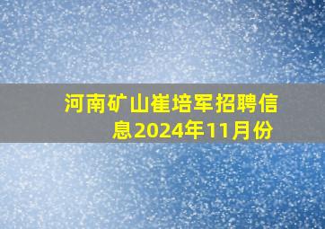 河南矿山崔培军招聘信息2024年11月份