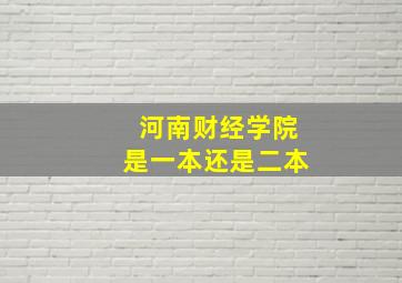 河南财经学院是一本还是二本