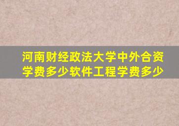 河南财经政法大学中外合资学费多少软件工程学费多少