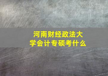 河南财经政法大学会计专硕考什么