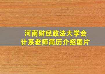 河南财经政法大学会计系老师简历介绍图片