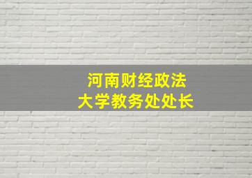 河南财经政法大学教务处处长