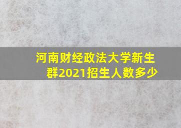 河南财经政法大学新生群2021招生人数多少