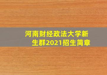 河南财经政法大学新生群2021招生简章