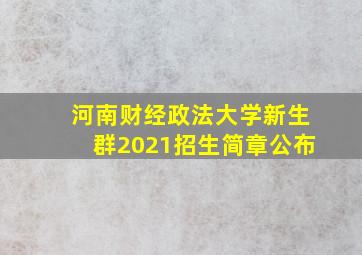 河南财经政法大学新生群2021招生简章公布