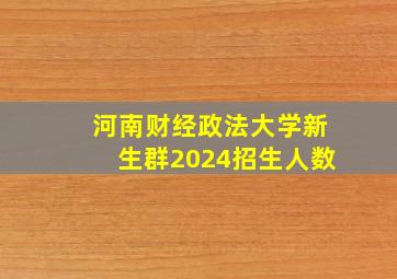 河南财经政法大学新生群2024招生人数