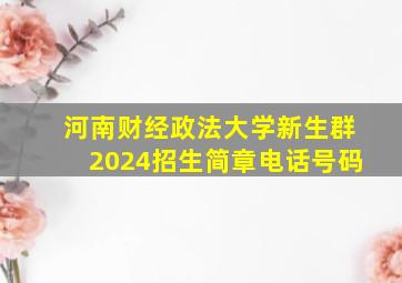 河南财经政法大学新生群2024招生简章电话号码