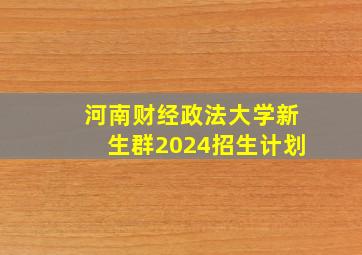 河南财经政法大学新生群2024招生计划