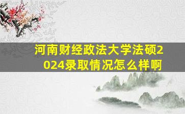 河南财经政法大学法硕2024录取情况怎么样啊