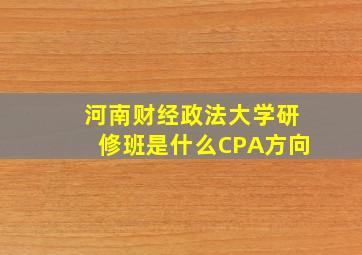 河南财经政法大学研修班是什么CPA方向