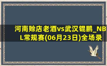 河南赊店老酒vs武汉锟鹏_NBL常规赛(06月23日)全场录像