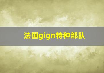 法国gign特种部队