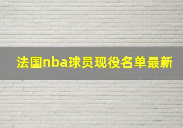 法国nba球员现役名单最新