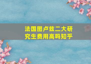 法国图卢兹二大研究生费用高吗知乎