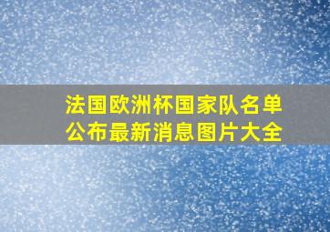 法国欧洲杯国家队名单公布最新消息图片大全