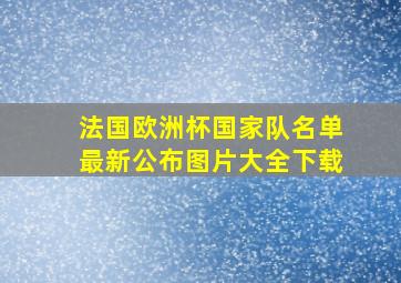 法国欧洲杯国家队名单最新公布图片大全下载