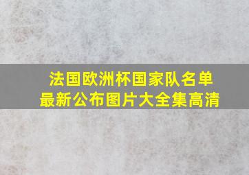 法国欧洲杯国家队名单最新公布图片大全集高清