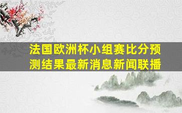 法国欧洲杯小组赛比分预测结果最新消息新闻联播