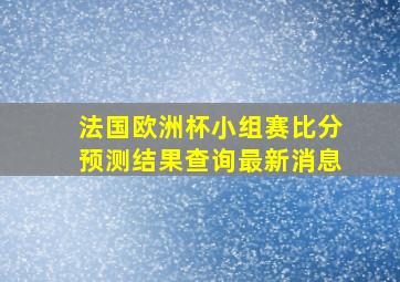 法国欧洲杯小组赛比分预测结果查询最新消息