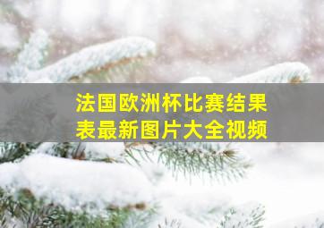 法国欧洲杯比赛结果表最新图片大全视频