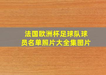 法国欧洲杯足球队球员名单照片大全集图片