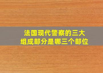 法国现代警察的三大组成部分是哪三个部位