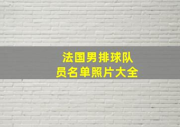 法国男排球队员名单照片大全