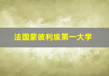 法国蒙彼利埃第一大学