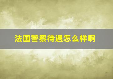 法国警察待遇怎么样啊