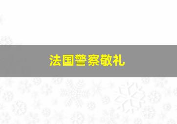 法国警察敬礼