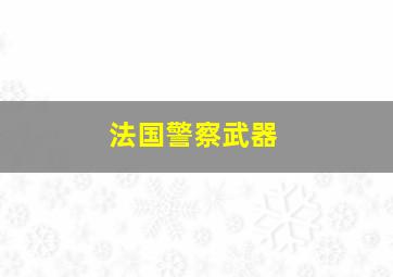 法国警察武器