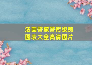 法国警察警衔级别图表大全高清图片