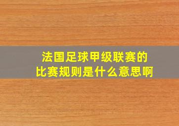 法国足球甲级联赛的比赛规则是什么意思啊