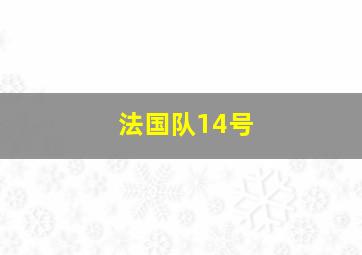 法国队14号