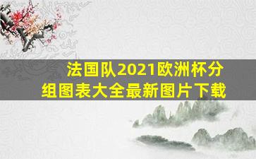 法国队2021欧洲杯分组图表大全最新图片下载